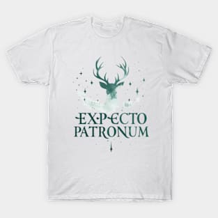 Harry Potter Tribute - Expecto Patronum - HP - Books & Cleverness - Hary Poter Potter Harry Wizard tribute T-Shirt